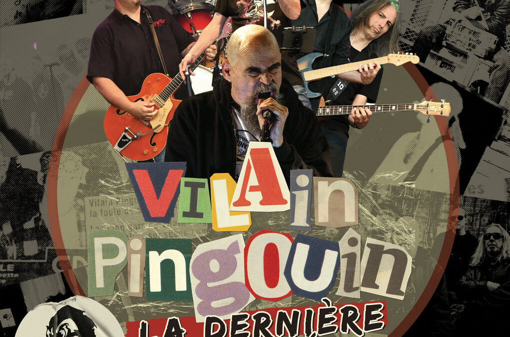 Vilain Pingouin